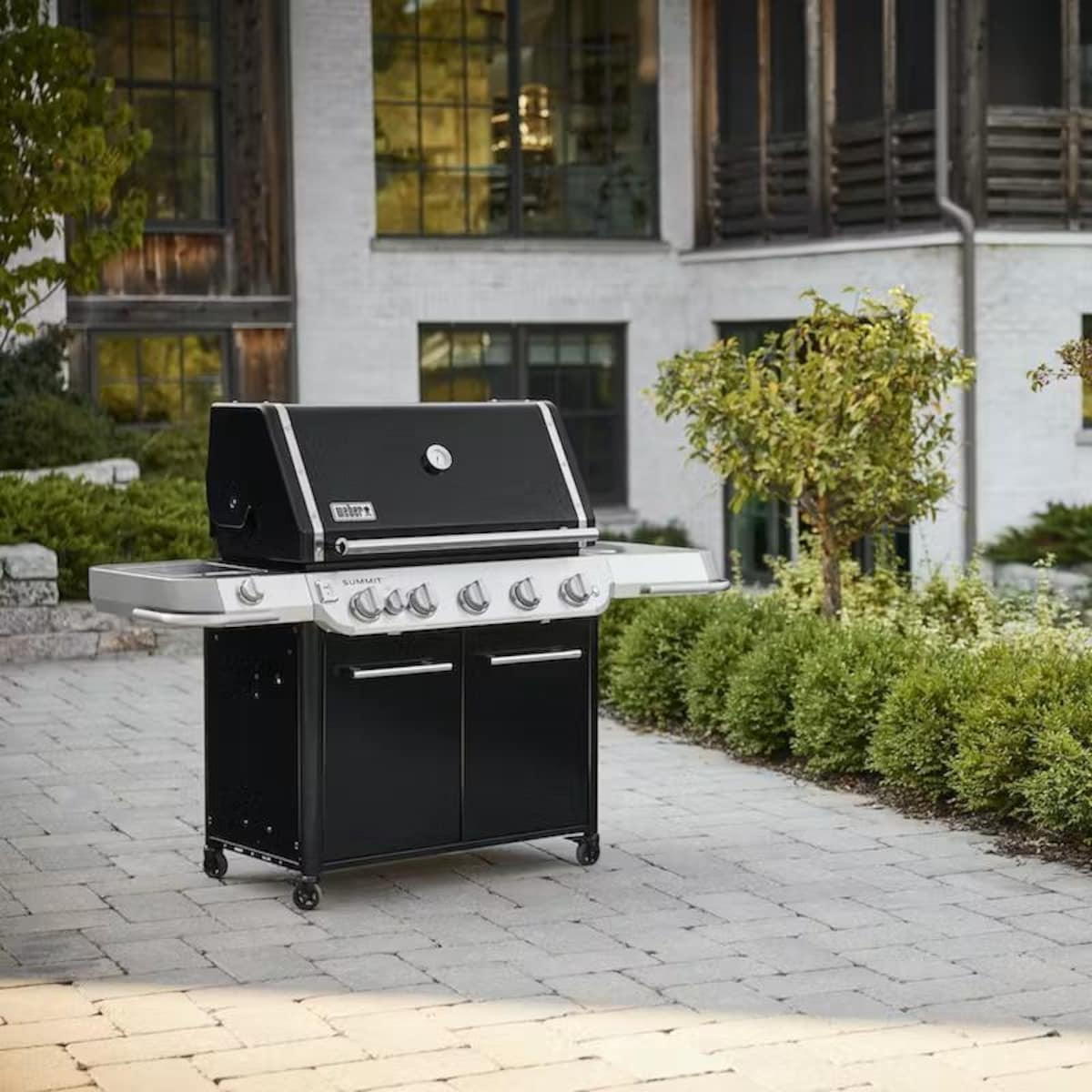 Weber Summit FS38 E Propane Gas Grill